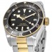 Replica Tudor Black Bay 41 Steel &Gold Black Dial Men‘s Watch M79733N-0008