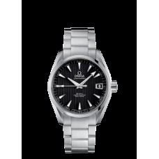 Omega Seamaster Aqua Terra Replica Watch 231.10.39.21.01.001