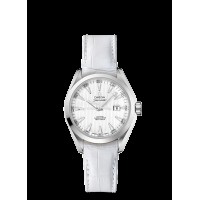 Omega Seamaster Aqua Terra Automatic Replica Watch 231.13.34.20.04.001