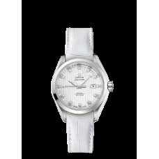 Omega Seamaster Aqua Terra Automatic Replica Watch 231.13.34.20.55.001