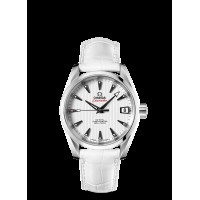 Omega Seamaster Aqua Terra Mens Replica Watch 231.13.39.21.54.001