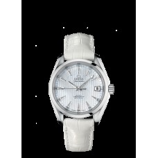 Omega Seamaster Aqua Terra Replica Watch 231.13.39.21.55.001