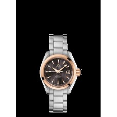 Omega Seamaster Aqua Terra Automatic Replica Watch 231.20.30.20.06.003