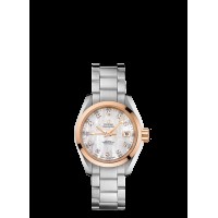 Omega Seamaster Aqua Terra Replica Watch 231.20.30.20.55.003