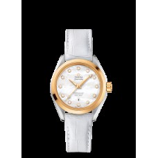 Omega Seamaster Aqua Terra Automatic Replica Watch 231.23.34.20.55.002