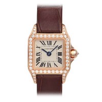 Cartier Santos Demoiselle -WF902004 