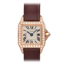 Cartier Santos Demoiselle -WF902004 